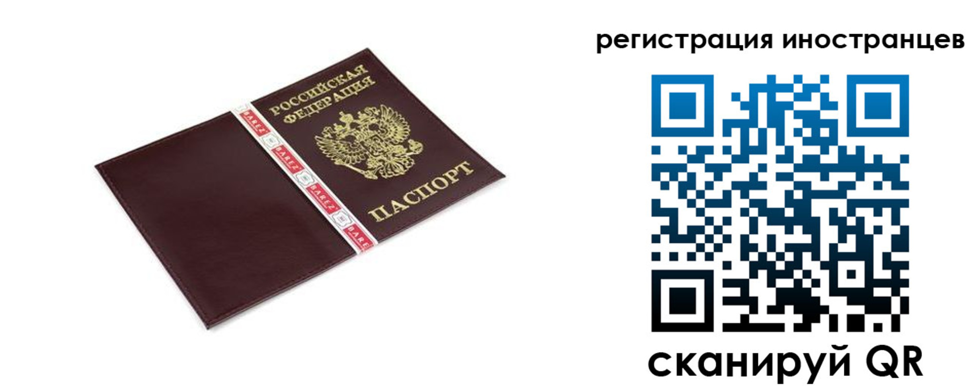 временная регистрация в Алексеевке
